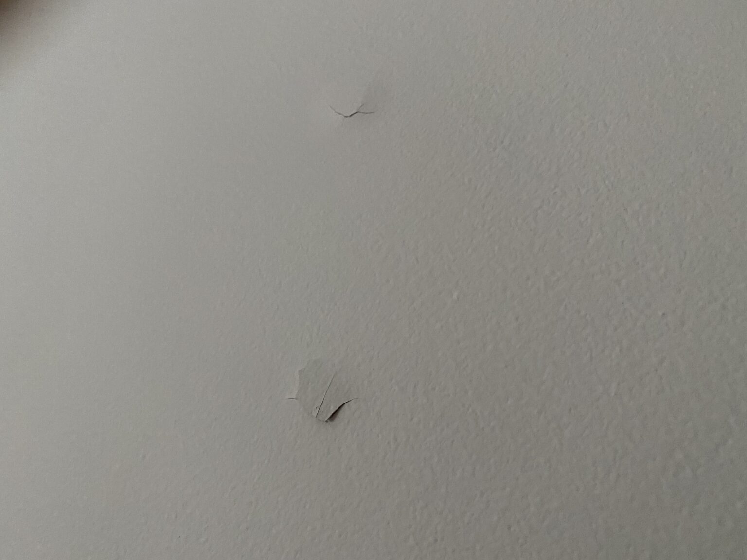 Repair Drywall Screw Pops (A Simple Guide for a Quick Fix)